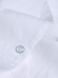 Dobby Textured Half Sleeves Shirt